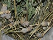 � �������� ������� ���� ��������������  