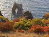 ����������� ����������  4 ������ ������� ��������� �� ��������