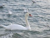 ��� ���� � ���� ���� � �������� � ����� � ������� ���� 6 ������