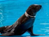 � ��������� ������� ������� ������ �� �����������, ������� �� �������� �����������