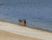 � �� ���� ���������� 25 ����...