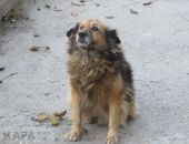 ��� ���� � ���� ���� � �������� � ����� � ������� ���� 7 ������