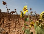 ��������� ������ ��� ����� ������ ������� �� ��� ������� ����������