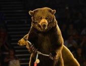 � ������ �������� ������� ������ �������