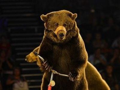 � ������ �������� ������� ������ �������