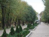 ������������� ���� ��������: ������ � �������