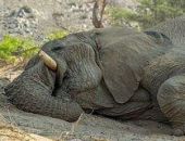 � ����� � ���� ������� ������ ����� 24 ������ �����