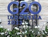 �������� ����� ������������� ����������� ������ �� ������� G20