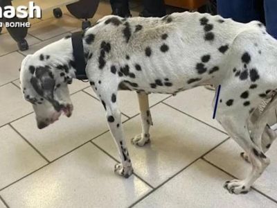 � �������� ������ ������, ������� ������� ������ ������� 