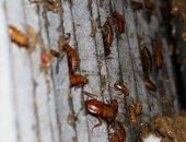 ����������� �������� ����� ������������ ����� ��������