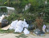 ����������� �������� �����������