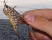 ��� ���� � ���� ���� � �������� � ����� � ������� ���� 20 ������