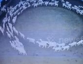 �� ����� � ����� ����� ���� ��� ��������� ������ �� ����� 12 ����