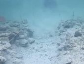 �� ��� ����� � ������ ����� ���� ������� �� ������ ��������� 5 000 ���