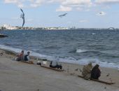 ������ � ���� ������ �����������