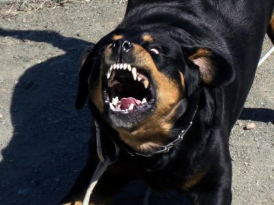 C�� ����� �������� ������ �����, ��� ������ �������� 10-������ �������
