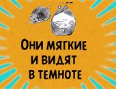 ���� ������ � ����� � ������廅