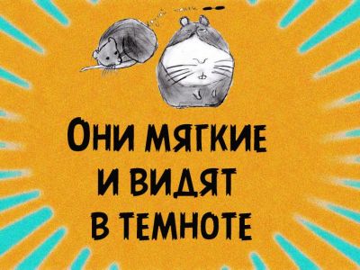 ���� ������ � ����� � ������廅