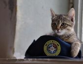 В подразделения МЧС Крыма ежедневно поступает ложный вызов