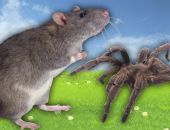 ���������� ������� � ������ �������� ������� �� ����� � ������� ������ � ������