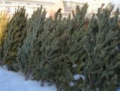 ������ � �������� ������ ��������� ���������� ���� � �����