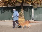 ������� ������ � �������� � � ������