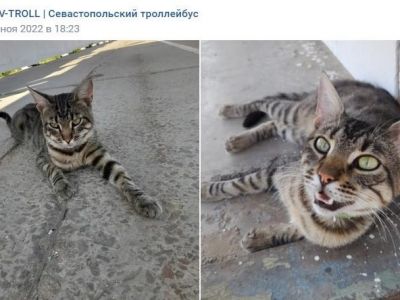 � ����������� �������� ������������� ���