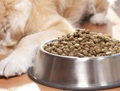 � ������ ����� ������� ���� �� ����� ��� �������� ��������