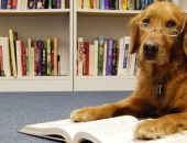 �������� � 2022 ���� ����� ������ ������� �� ����� � ��������