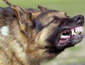 � ������������ ���������� ������� ������