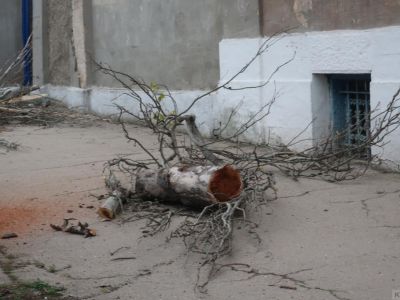 � ����� ��� � � ������ ����������