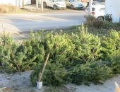 ���, ���� � �������� ���� �� �����������