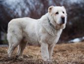 ����������� ����� �������� �������� ����������� ������