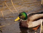 ������ �����-2023� � �����