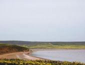 Три новые природоохранные территории создали в Крыму