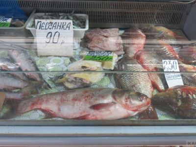 ���� �� ����� ��������: ������������