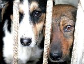 ��� ���� � ���� ���� � �������� � ����� � ������� ���� 16 ������