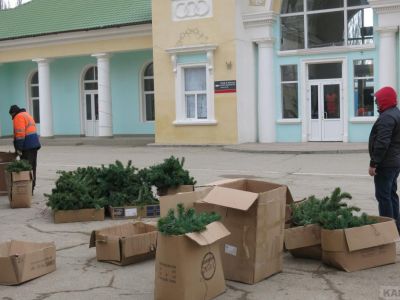 �� ������������� ������� �������� ������ ��������� ���������� ����