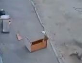 � ���������� �������� ����� ��� ����������� �� ���� �����