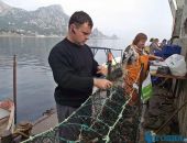 В Севастополе открыли школу для морских фермеров