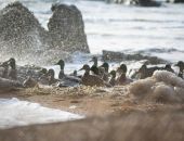 ����� �������� ���� � ���������� ������ �������� � �����