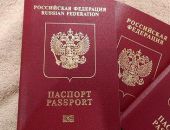 Из российского гражданства в 2022 году вышли 40 человек