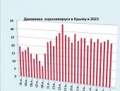 Хроника коронавируса в Крыму: за 31 января  заболели 25 человек