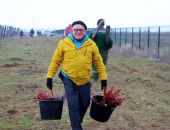Заложили "цифровые" виноградники в Крыму: когда ждать первый урожай?