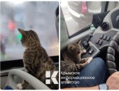� �������� �������� � ����������� �������� ���-��������