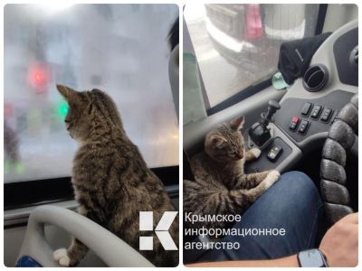 � �������� �������� � ����������� �������� ���-��������
