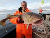 ����������� ���� � ������ � ��������� ���� ���������