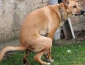 4 ���. ���� ������� �� ����� � ������: ���� �� ������?