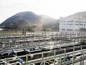 ��������: ��� ��������� ��������� ����� �������� ����������