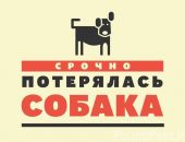 ��������! ����������! �������� ����� ������� ������!